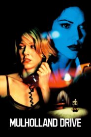 Mulholland Drive 2001 on netflix