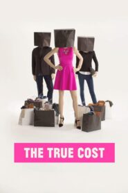 The True Cost 2015 on netflix