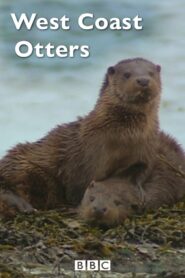 West Coast Otters 2005 on netflix
