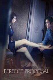 Perfect Proposal 2015 on netflix