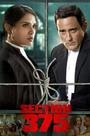Section 375 2019 on netflix