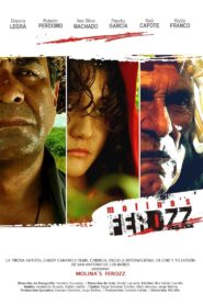 Ferozz: The Wild Red Riding Hood 2010 on netflix