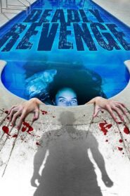 Deadly Revenge 2013 on netflix