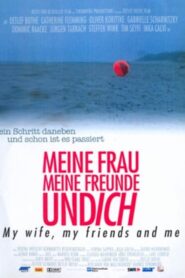 Meine Frau, meine Freunde und ich 2004 on netflix