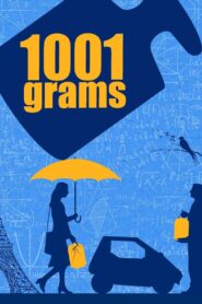 1001 Grams 2014 on netflix