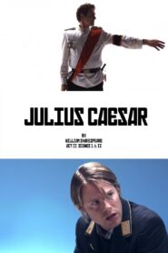 Julius Caesar 2010 on netflix