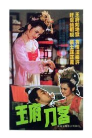 王府刀客 1990 on netflix
