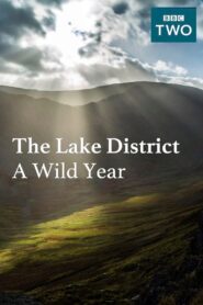 The Lake District: A Wild Year 2017 on netflix