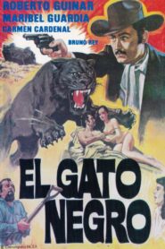El Gato Negro 1987 on netflix