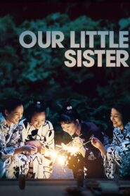 Our Little Sister 2015 on netflix