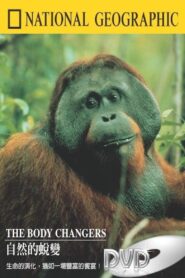 The Body Changers 2000 on netflix