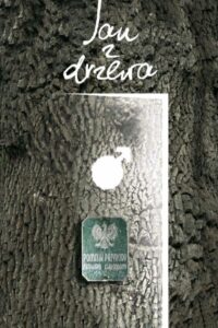 Jan z drzewa 2008 on netflix