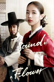 The Sound of a Flower 2015 on netflix