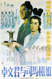 卓文君与司马相如 1984 on netflix