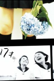 Age 17 2003 on netflix