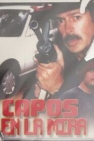 Capos En La Mira 1999 on netflix