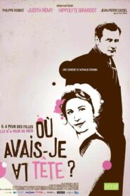 Où avais-je la tête ? 2008 on netflix