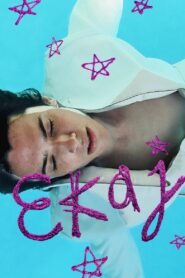Ekaj 2015 on netflix