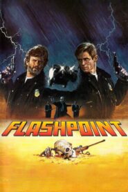 Flashpoint 1984 on netflix