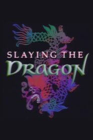 Slaying the Dragon 1988 on netflix