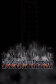 Woodward and Bernstein: Lighting the Fire 2006 on netflix