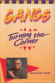 Gangs: Turning the Corner 1994 on netflix