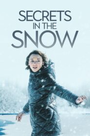 Secrets in the Snow 2020 on netflix