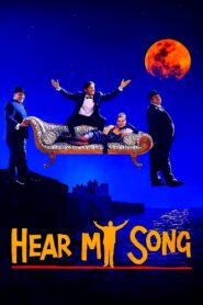 Hear My Song 1991 on netflix