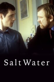 Saltwater 2000 on netflix