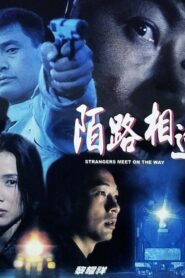Strangers Meet on the Way 2001 on netflix