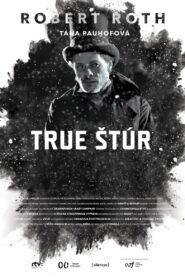 True Štúr 2015 on netflix