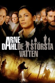 Arne Dahl: Many Waters 2012 on netflix