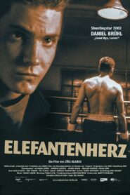 Elephant Heart 2002 on netflix