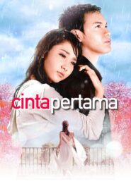 First Love 2006 on netflix