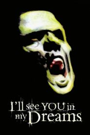 I’ll See You in My Dreams 2003 on netflix