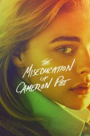 The Miseducation of Cameron Post 2018 on netflix