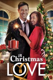 A Christmas Love 2020 on netflix