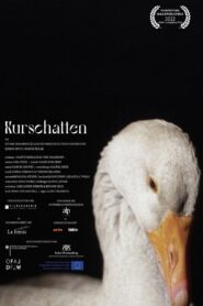 Kurschatten 2021 on netflix