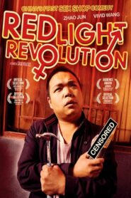 Red Light Revolution 2010 on netflix