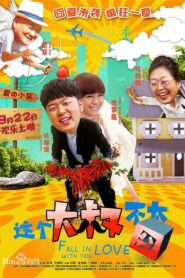 Fall in Love with You 2014 on netflix
