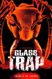 Glass Trap 2005 on netflix