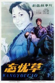 Wang you cao 1982 on netflix