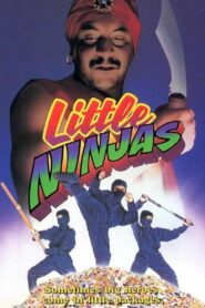 Little Ninjas 1993 on netflix