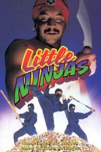 Little Ninjas 1993 on netflix