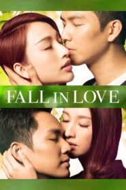 Fall in Love 2013 on netflix