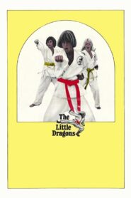 The Little Dragons 1980 on netflix