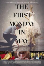 The First Monday in May 2016 on netflix