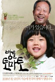 Cherry Tomato 2008 on netflix