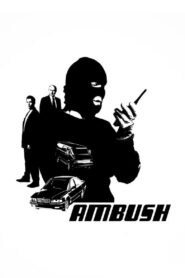Ambush 2001 on netflix