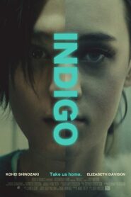 Indigo 2016 on netflix